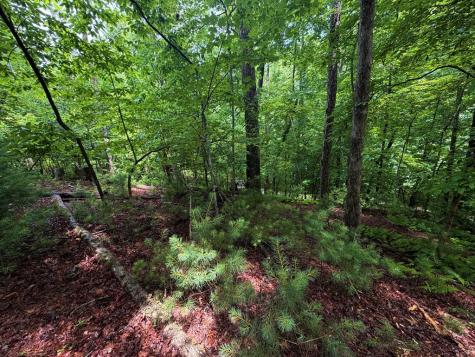 Lt 144 Alcan Way Ellijay GA 30450