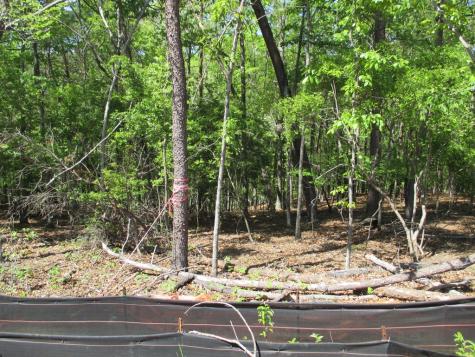 000 E Morrison Moore Parkway Dahlonega GA 30533