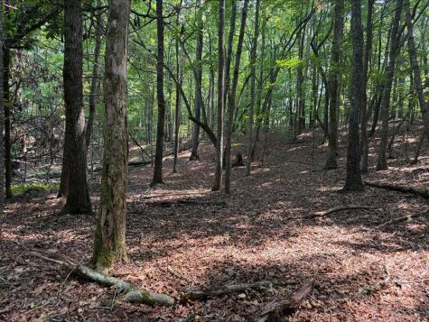 8 Mystic Ridge Blairsville GA 30512