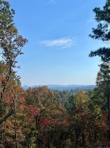Lot 292 Creekside Crossing Talking Rock GA 30175