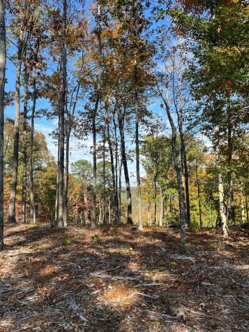Lot 292 Creekside Crossing Talking Rock GA 30175