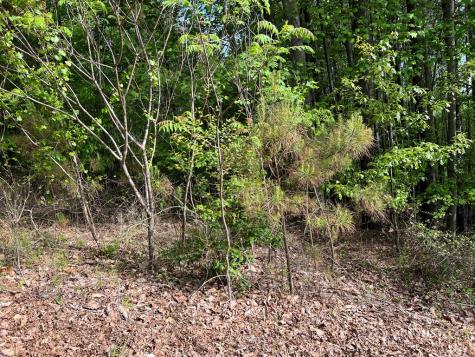Lot 25 Loftis Mountain Blairsville GA 30512