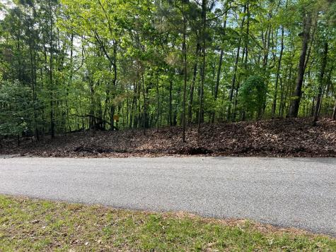 Lot 25 Loftis Mountain Blairsville GA 30512