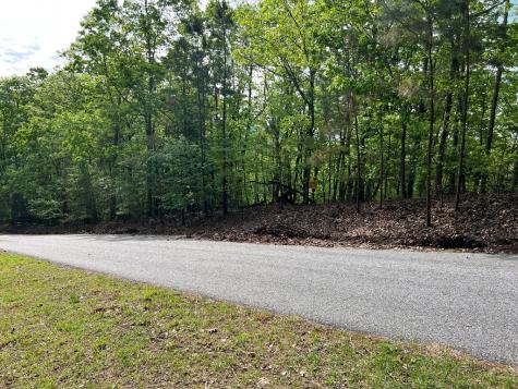 Lot 25 Loftis Mountain Blairsville GA 30512