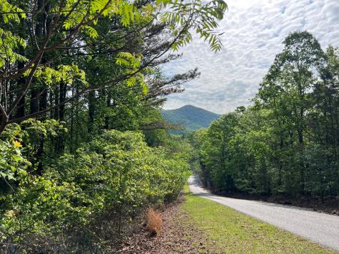 Lot 25 Loftis Mountain Blairsville GA 30512