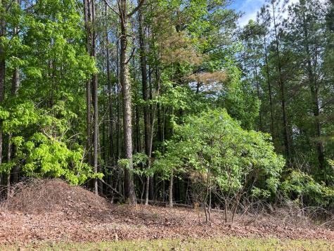 Lot 25 Loftis Mountain Blairsville GA 30512