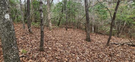 9.95AC Hicks Gap Road Blairsville GA 30512