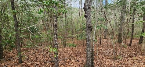 9.95AC Hicks Gap Road Blairsville GA 30512