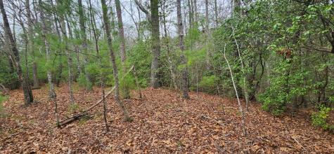 9.95AC Hicks Gap Road Blairsville GA 30512