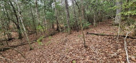 9.95AC Hicks Gap Road Blairsville GA 30512