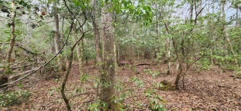 9.95AC Hicks Gap Road Blairsville GA 30512