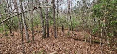 9.95AC Hicks Gap Road Blairsville GA 30512