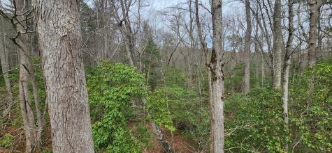 9.95AC Hicks Gap Road Blairsville GA 30512