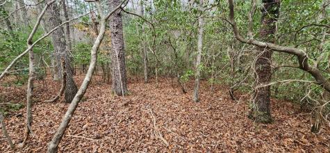 9.95AC Hicks Gap Road Blairsville GA 30512