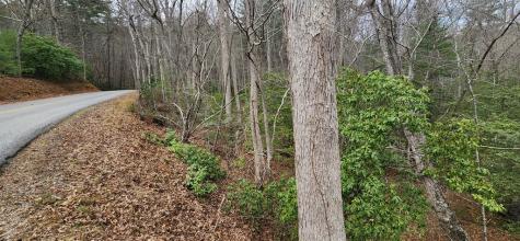 9.95AC Hicks Gap Road Blairsville GA 30512