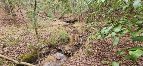 9.95AC Hicks Gap Road Blairsville GA 30512
