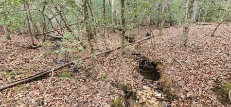 9.95AC Hicks Gap Road Blairsville GA 30512