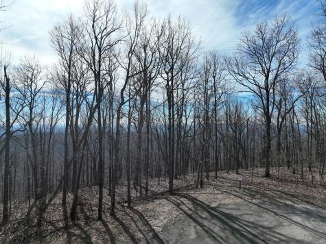 256 Blood Root Trail Ellijay GA 30536