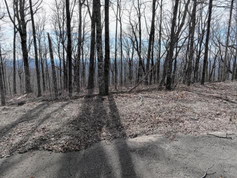 256 Blood Root Trail Ellijay GA 30536