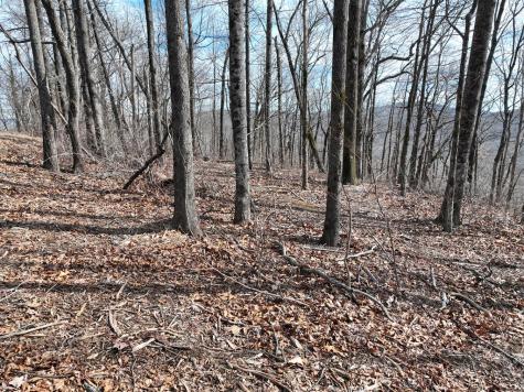 256 Blood Root Trail Ellijay GA 30536