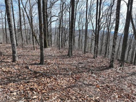 256 Blood Root Trail Ellijay GA 30536