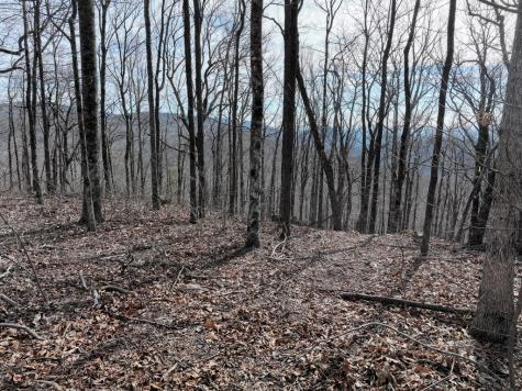 256 Blood Root Trail Ellijay GA 30536