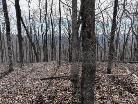 256 Blood Root Trail Ellijay GA 30536