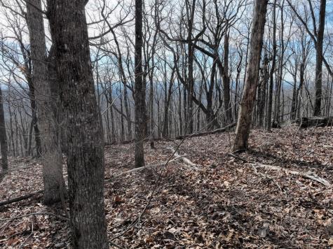 256 Blood Root Trail Ellijay GA 30536