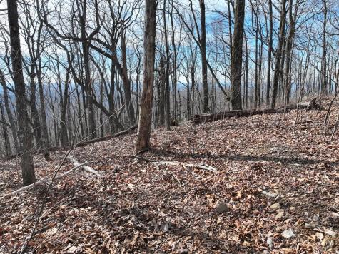 256 Blood Root Trail Ellijay GA 30536