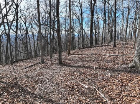 256 Blood Root Trail Ellijay GA 30536