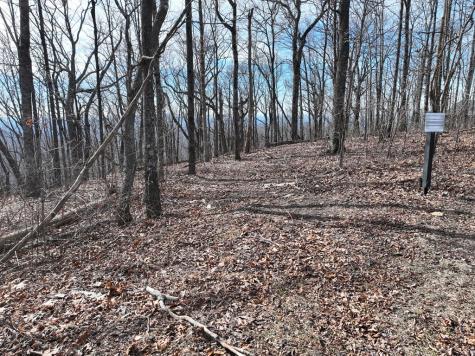 256 Blood Root Trail Ellijay GA 30536