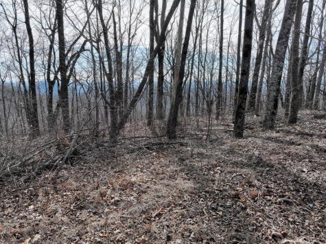 256 Blood Root Trail Ellijay GA 30536