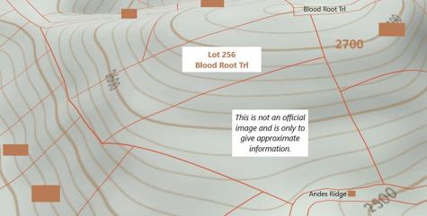 256 Blood Root Trail Ellijay GA 30536