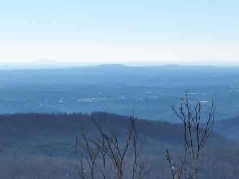 256 Blood Root Trail Ellijay GA 30536