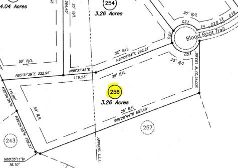 256 Blood Root Trail Ellijay GA 30536