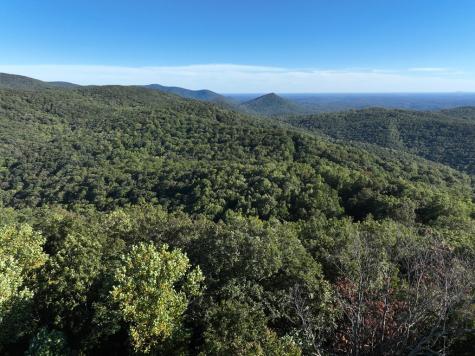 256 Blood Root Trail Ellijay GA 30536