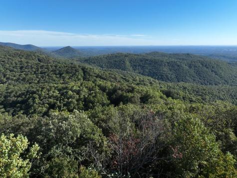 256 Blood Root Trail Ellijay GA 30536