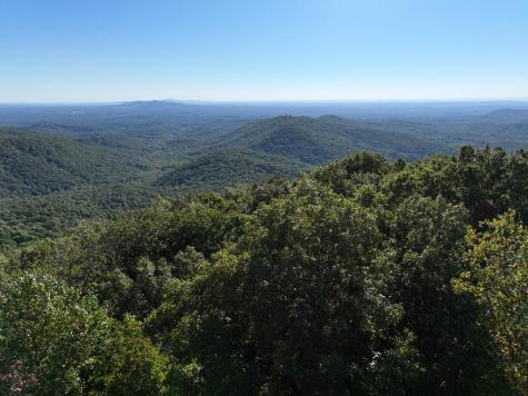 256 Blood Root Trail Ellijay GA 30536