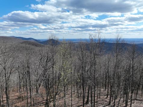 256 Blood Root Trail Ellijay GA 30536