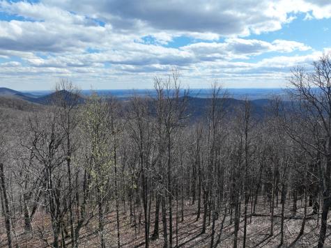 256 Blood Root Trail Ellijay GA 30536