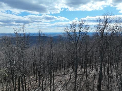 256 Blood Root Trail Ellijay GA 30536