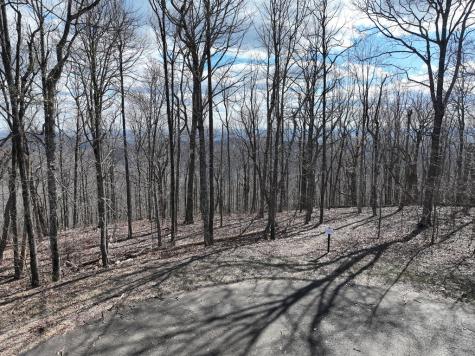 256 Blood Root Trail Ellijay GA 30536