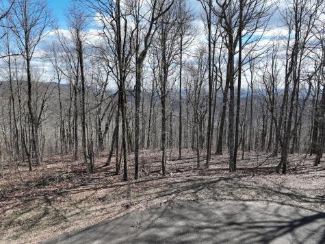 256 Blood Root Trail Ellijay GA 30536