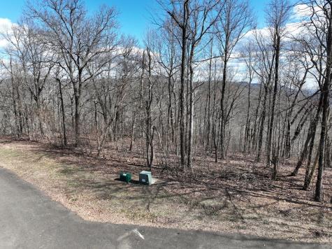 256 Blood Root Trail Ellijay GA 30536