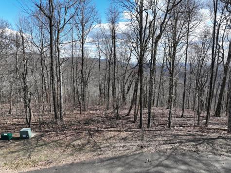 256 Blood Root Trail Ellijay GA 30536