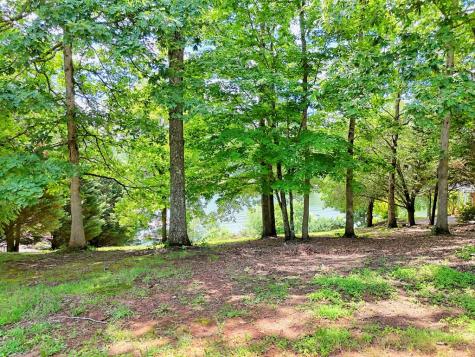 #4 Stonecrest Circle Hiawassee GA 30546