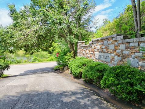 #4 Stonecrest Circle Hiawassee GA 30546