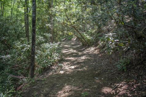 1A/B,2,3 Riverbend Trail Hayesville NC 28904