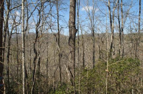 1A/B,2,3 Riverbend Trail Hayesville NC 28904