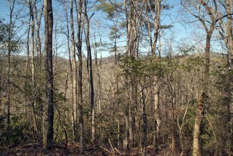 1A/B,2,3 Riverbend Trail Hayesville NC 28904